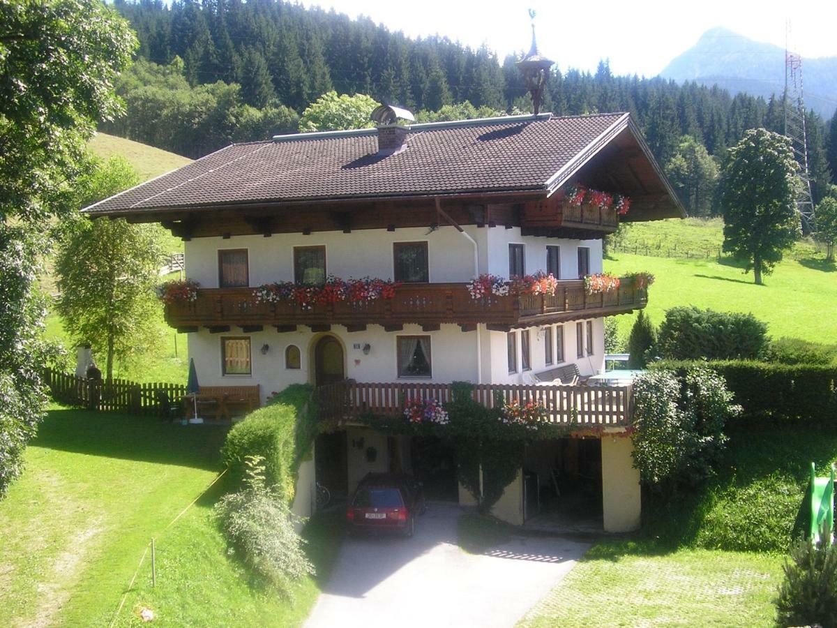 Farm stay Steinerbauer Flachau