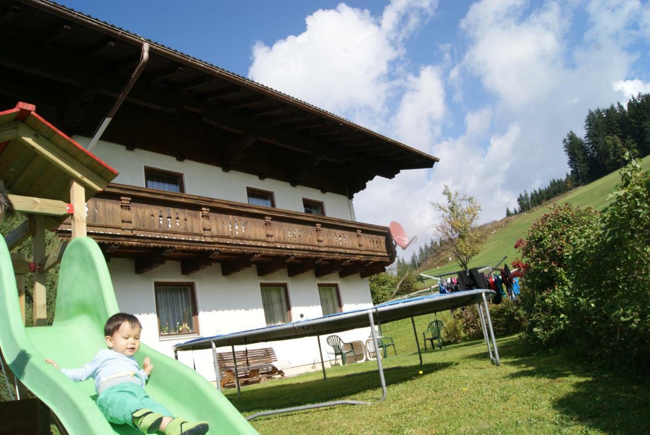 Steinerbauer *