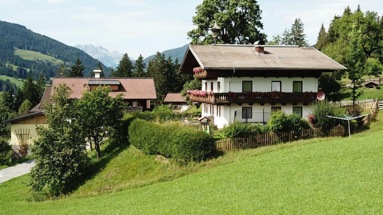 Steinerbauer *